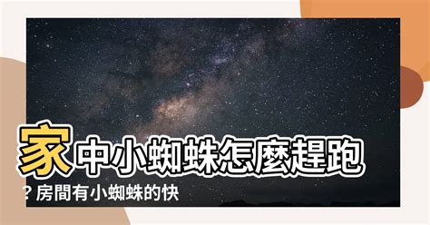 房間有小蜘蛛風水|為何家中出現小蜘蛛？5大風水含義揭秘